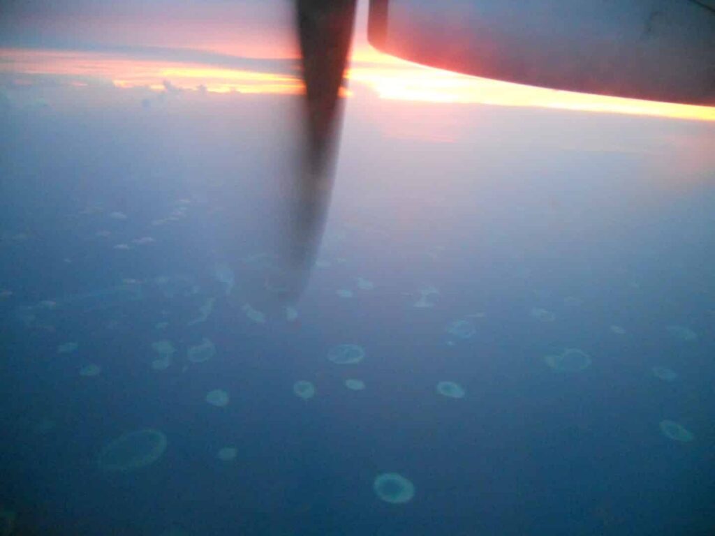 飛行機から見た環礁の画像